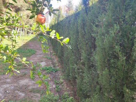 4 otaqlı həyət evi/bağ evi - Mərdəkan q. - 160 m²