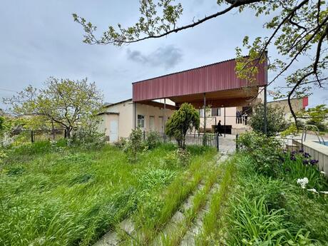 6 otaqlı həyət evi, 218 m², Saray: 260 000 ₼ 5
