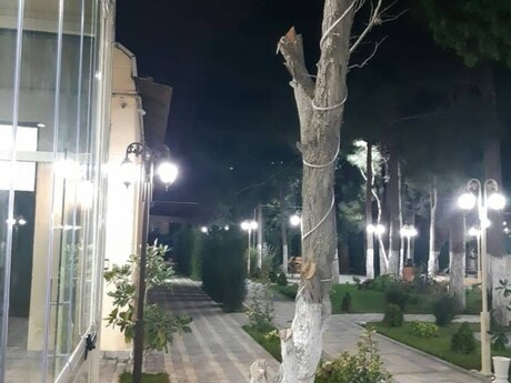 Obyekt - Xətai r. - 500 m²