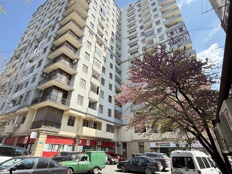 Объявление №6087765 - Баку, м. Иншаатчылар, 2-комн., 76 м², 13/17 этаж