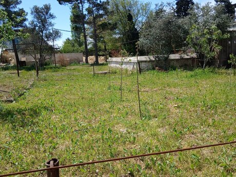 Obyekt - Zabrat q. - 450 m²