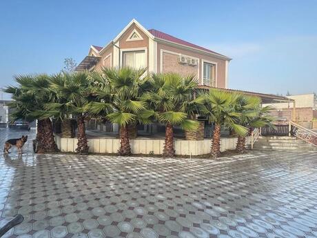 Elan №6088046 - Bakı, Şüvəlan q., 6 otaqlı, 400 m²