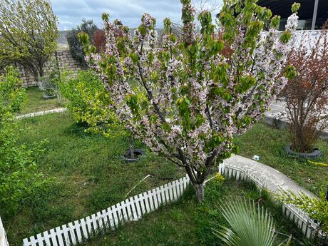 4 otaqlı həyət evi/bağ evi - Balaxanı q. - 120 m²