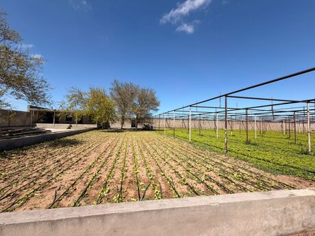 3 otaqlı həyət evi/bağ evi - Türkan q. - 100 m²