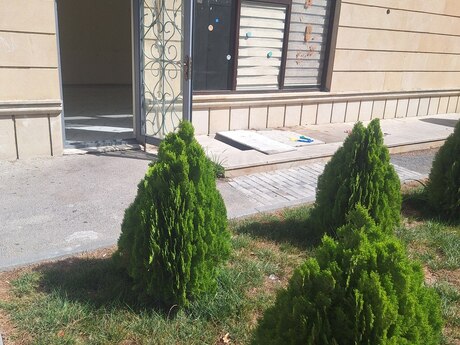 Obyekt - Azadlıq Prospekti m. - 80 m²