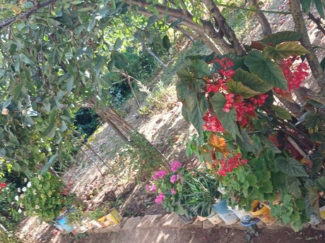 4 otaqlı həyət evi/bağ evi - Şamaxı - 130 m²