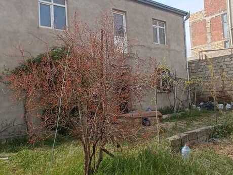 7-комн. дом/дача - пос. Бадамдар - 230 м²