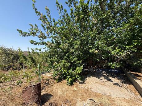6 otaqlı həyət evi, 250 m², Novxanı: 155 000 ₼ 5
