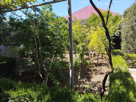 4 otaqlı həyət evi/bağ evi - Buzovna q. - 144 m²