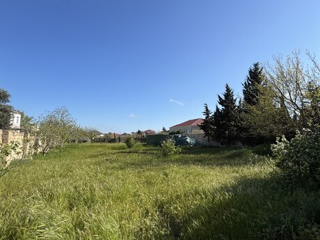 5 otaqlı həyət evi/bağ evi - Buzovna q. - 150 m²