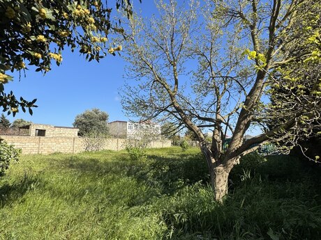 5 otaqlı həyət evi/bağ evi - Buzovna q. - 150 m²