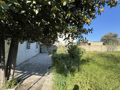 5 otaqlı həyət evi/bağ evi - Buzovna q. - 150 m²