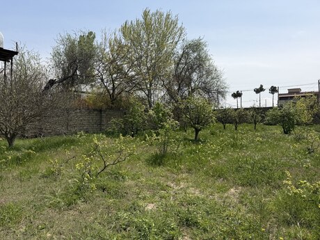 4 otaqlı həyət evi/bağ evi - Novxanı q. - 200 m²