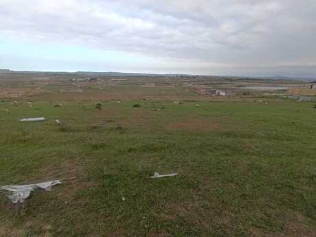 Torpaq - Abşeron r. - 10 sot
