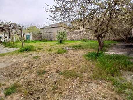 5 otaqlı həyət evi/bağ evi - Buzovna q. - 150 m²