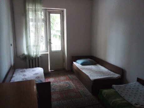 Obyekt - Balakən - 1500 m²
