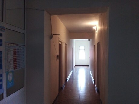 Obyekt - Balakən - 1500 m²