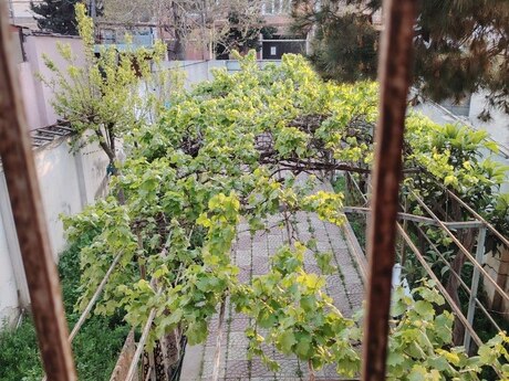 4 otaqlı həyət evi/bağ evi - Keşlə q. - 150 m²