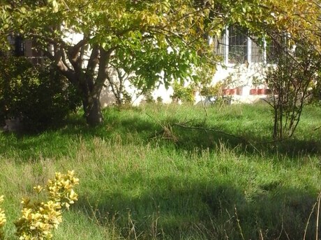3 otaqlı həyət evi/bağ evi - Abşeron r. - 65 m²