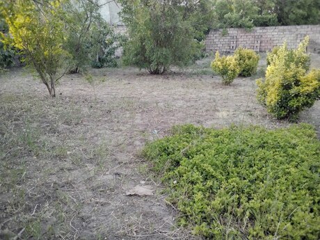 3 otaqlı həyət evi/bağ evi - Abşeron r. - 65 m²