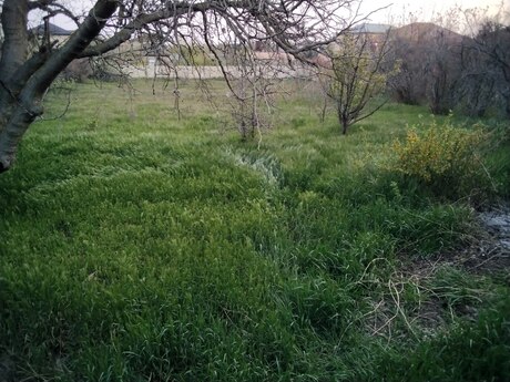 3 otaqlı həyət evi/bağ evi - Abşeron r. - 65 m²