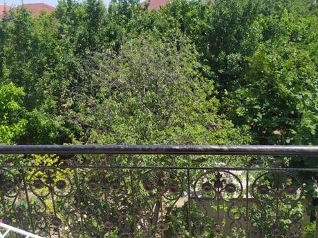 6 otaqlı həyət evi/bağ evi - Fatmayı q. - 200 m²