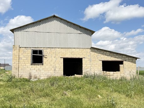 Obyekt - Cəlilabad - 250 m²