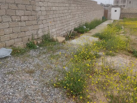 Torpaq - Qala q. - 4 sot