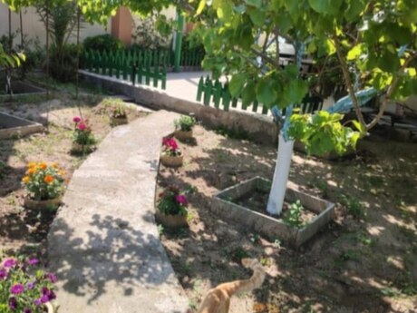 Объявление №6091238 - Баку, пос. Бузовна, 4-комн., 200 м²