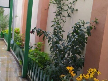 4 otaqlı həyət evi/bağ evi - Buzovna q. - 200 m²