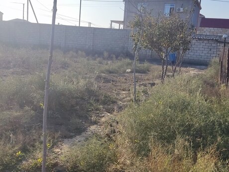 Torpaq - Mehdiabad q. - 10 sot