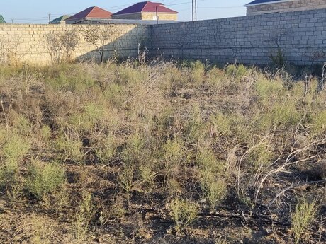 Torpaq - Mehdiabad q. - 10 sot