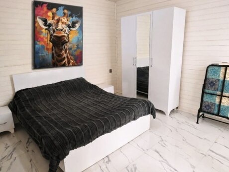 3 otaqlı həyət evi/bağ evi - İsmayıllı - 100 m²