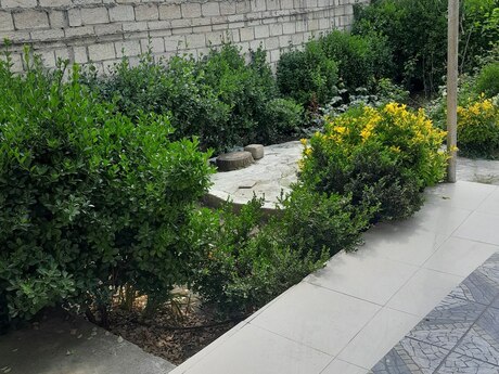3 otaqlı həyət evi/bağ evi - Beyləqan - 110 m²