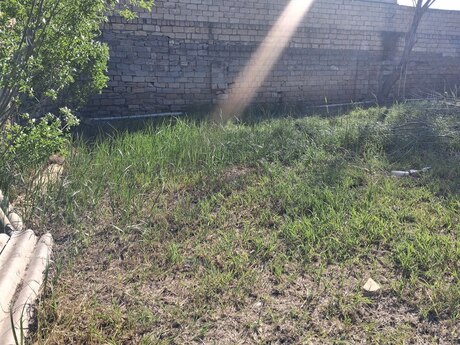 6 otaqlı həyət evi/bağ evi - Bakıxanov q. - 280 m²