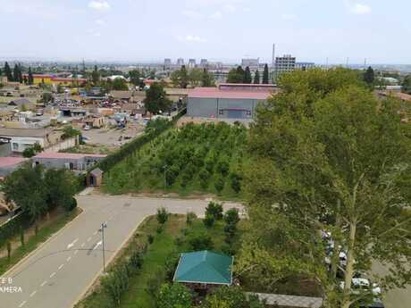 Obyekt - Gəncə - 1500 m²