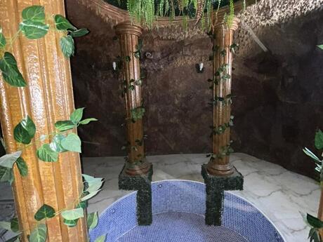 7 otaqlı həyət evi/bağ evi - Koroğlu m. - 480 m²