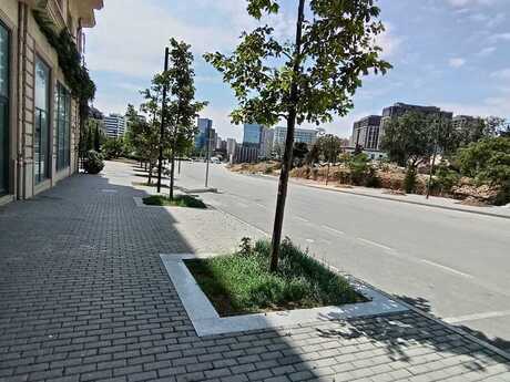 1 otaqlı yeni tikili - Ağ şəhər q. - 125 m²