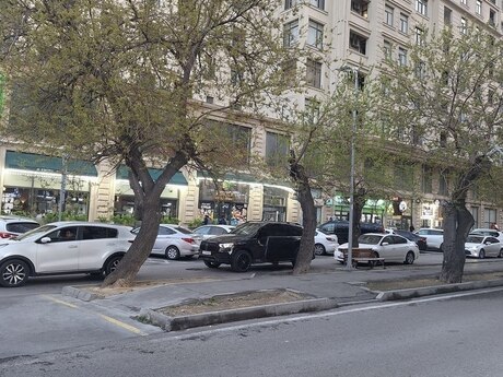 Obyekt - Nərimanov r. - 174 m²