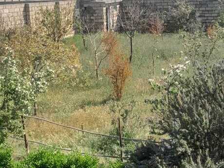 3 otaqlı həyət evi/bağ evi - Türkan q. - 80 m²