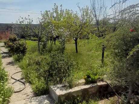 3 otaqlı həyət evi/bağ evi - Türkan q. - 80 m²