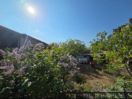 5 otaqlı həyət evi/bağ evi - Müşfiqabad q. - 160 m²
