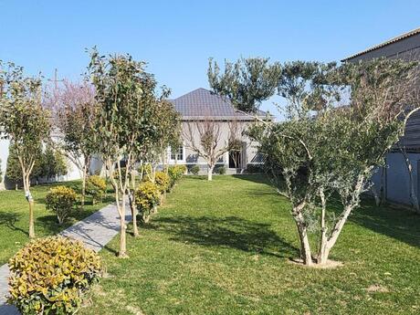6 otaqlı həyət evi/bağ evi - Bilgəh q. - 420 m²