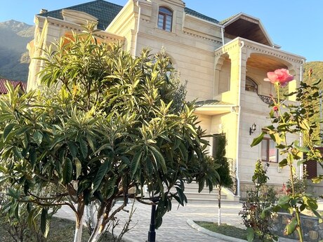 6 otaqlı həyət evi/bağ evi - Qax - 440 m²