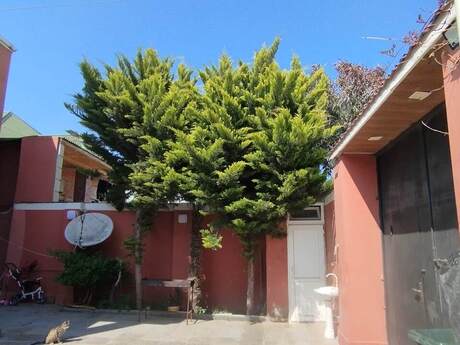 5 otaqlı həyət evi/bağ evi - Ramana q. - 140 m²
