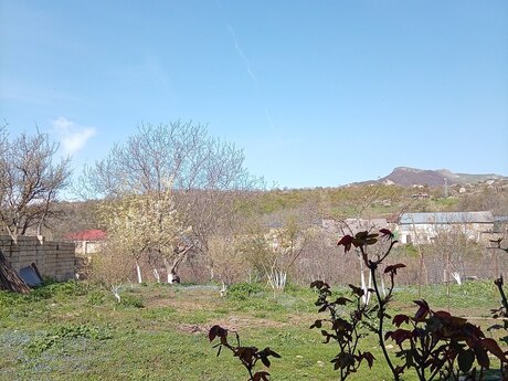Torpaq - Şamaxı - 10 sot