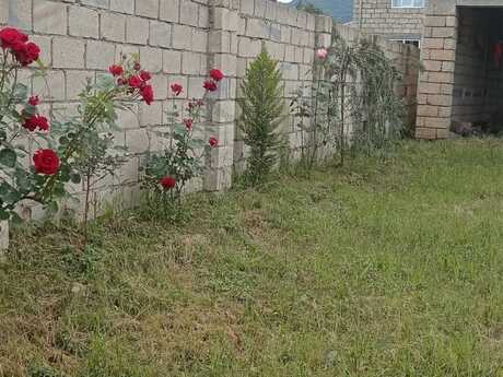 6 otaqlı həyət evi/bağ evi - Lənkəran - 130 m²