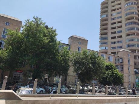 1 otaqlı köhnə tikili - 28 May m. - 40 m²