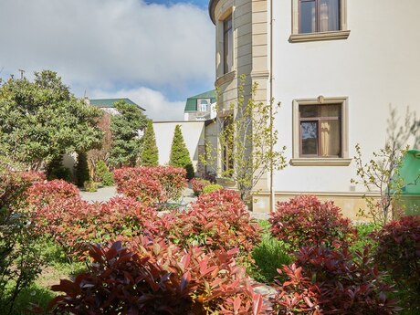 6 otaqlı həyət evi/bağ evi - Badamdar q. - 250 m²