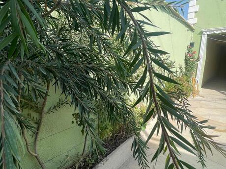 5 otaqlı həyət evi/bağ evi - Binəqədi q. - 160 m²